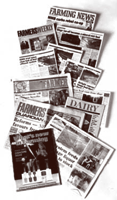 advertsising campaign